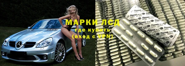 стафф Арсеньев