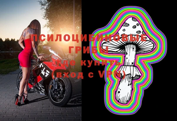 стафф Арсеньев