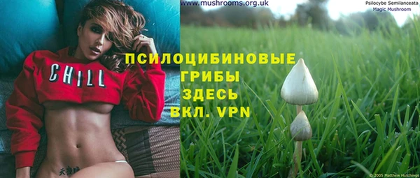 стафф Арсеньев