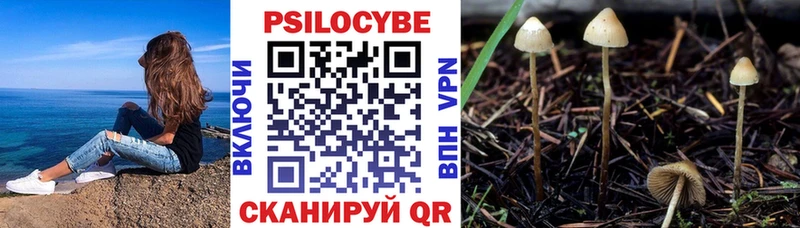 Псилоцибиновые грибы Magic Shrooms  Багратионовск 